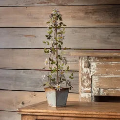 Iron French Clematis Trellis