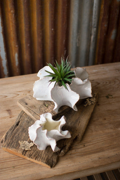 Organic Ceramic Planters