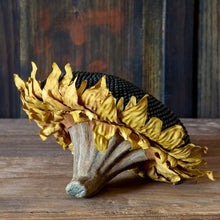 Load image into Gallery viewer, Sunflower Head
