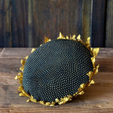 Load image into Gallery viewer, Sunflower Head
