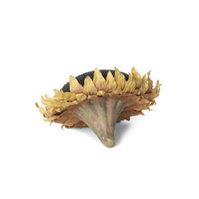 Load image into Gallery viewer, Sunflower Head

