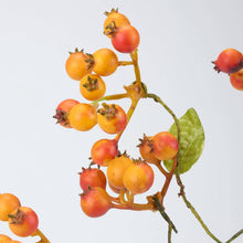 Load image into Gallery viewer, Orange Currant Floral Pick
