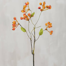 Load image into Gallery viewer, Orange Currant Floral Pick
