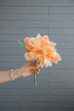 Load image into Gallery viewer, Peach Peony
