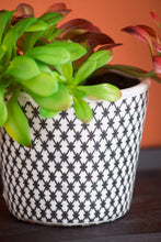 Load image into Gallery viewer, Naturespire Planters
