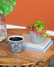 Load image into Gallery viewer, Naturespire Planters
