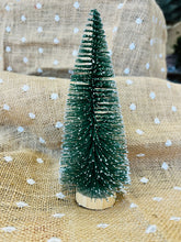 Load image into Gallery viewer, Brush Bottle Trees
