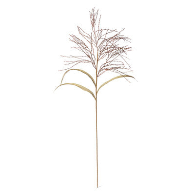 Fall Wild Millet Grass Stem