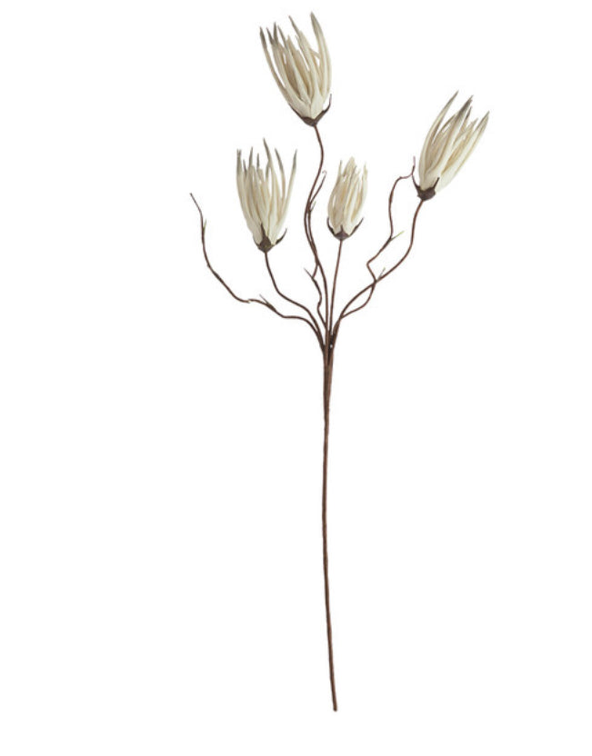 Botanica #502
