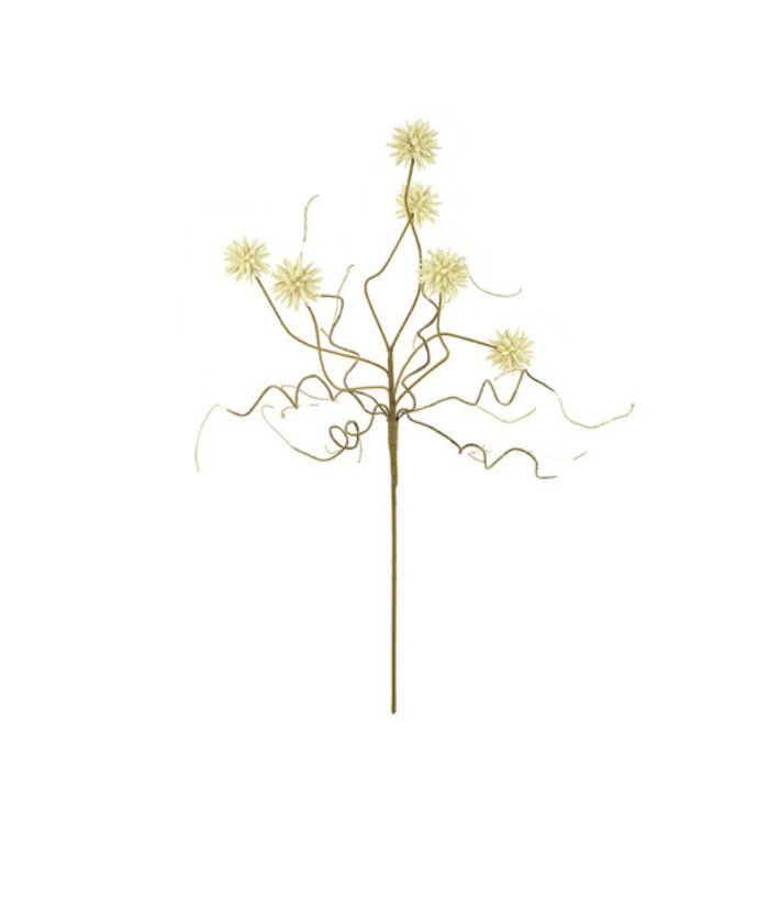 Botanica #2443