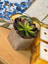 Load image into Gallery viewer, Artificial Succulents in Square Pots
