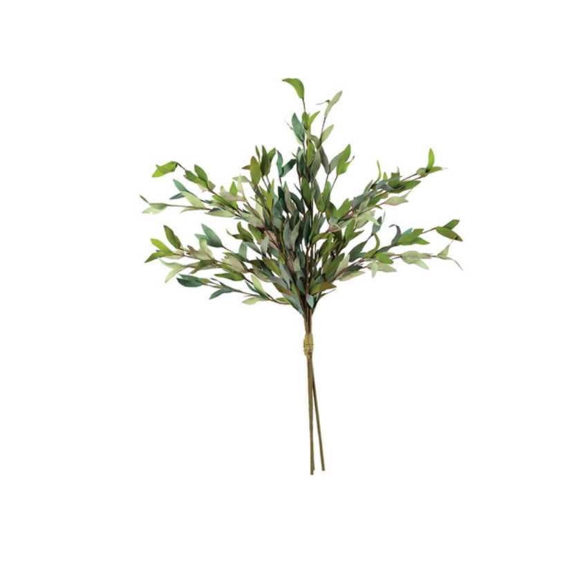 Botanica #2397