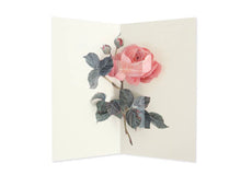 Load image into Gallery viewer, Rose Pop-Up Card
