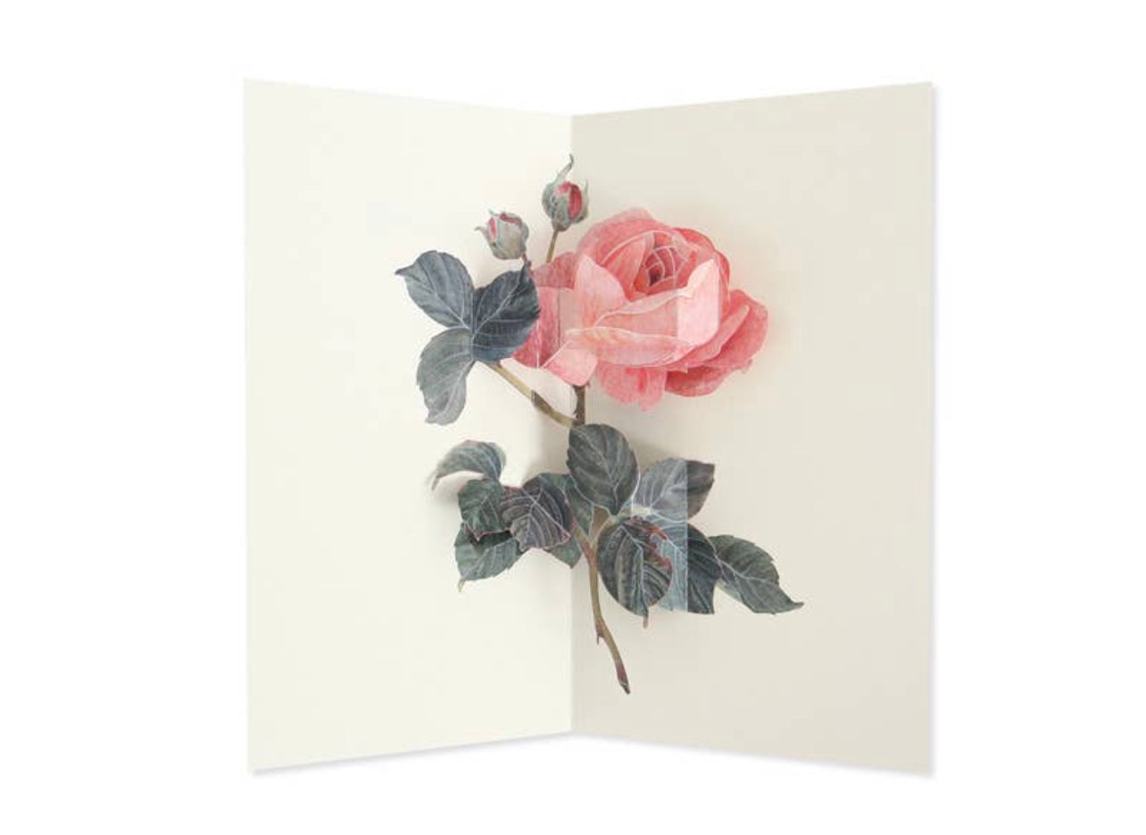 Rose Pop-Up Card
