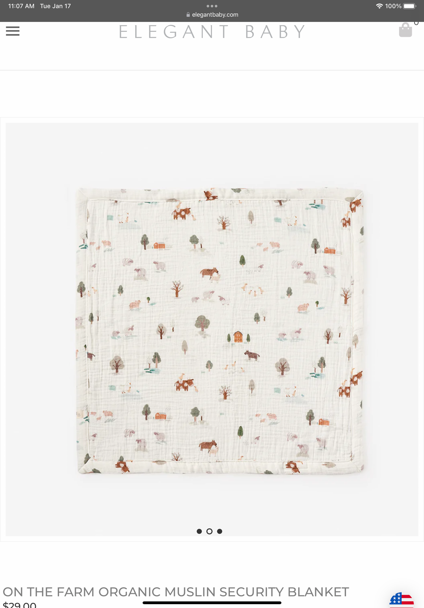 Organic Muslin Blanket